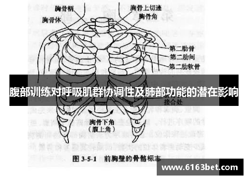 腹部训练对呼吸肌群协调性及肺部功能的潜在影响